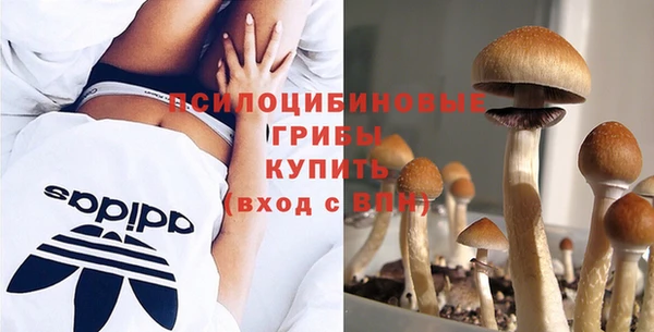 первитин Абаза