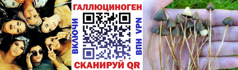 Галлюциногенные грибы MAGIC MUSHROOMS Сорск