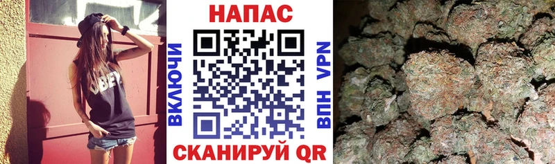 купить наркотик  Сорск  Канабис планчик 